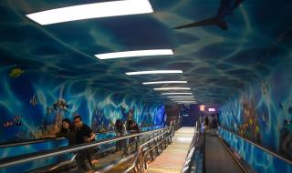 上海外滩隧道车祸