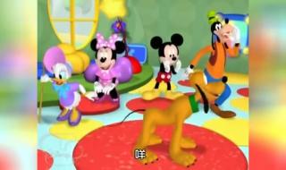 丢了幸福的猪广场舞