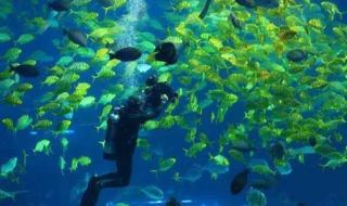 郑州海洋馆 郑州海洋馆